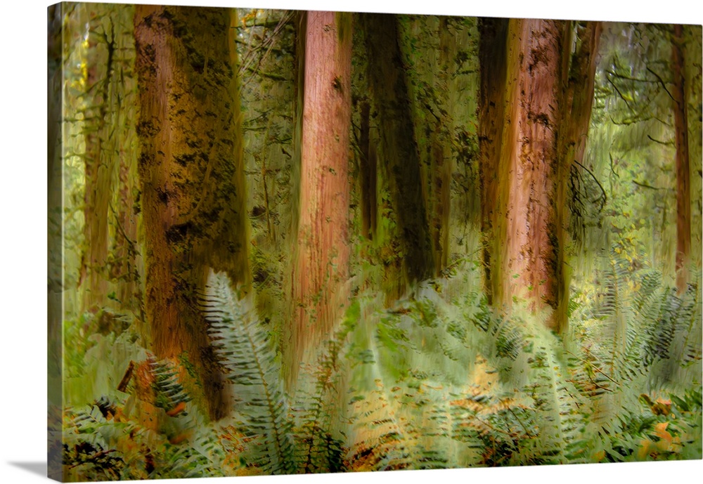 An creative photograph of a forest.