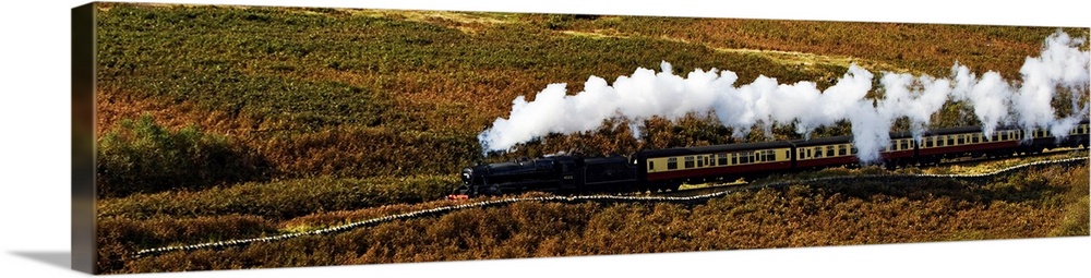 A steam train panorama as the train flows through a moorland landscape in Yorkshire, UK, with steam pouring from the funnel.