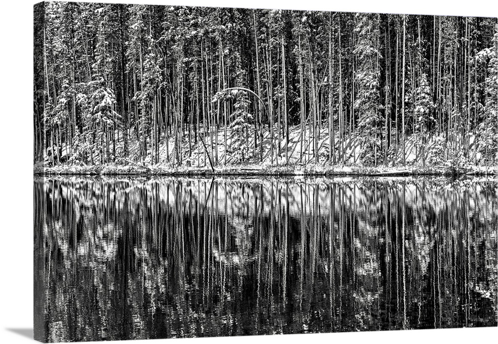 Trees and their reflection, early Winter in the Canadian Rockies.