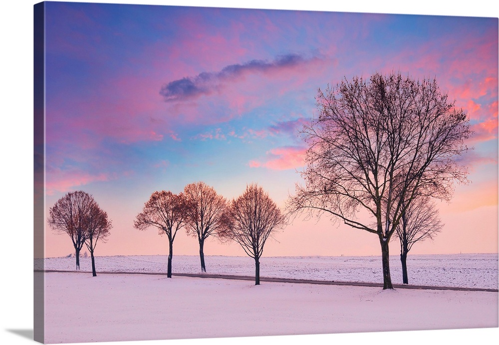 Sunset over a snowy landscape with trees in the foreground