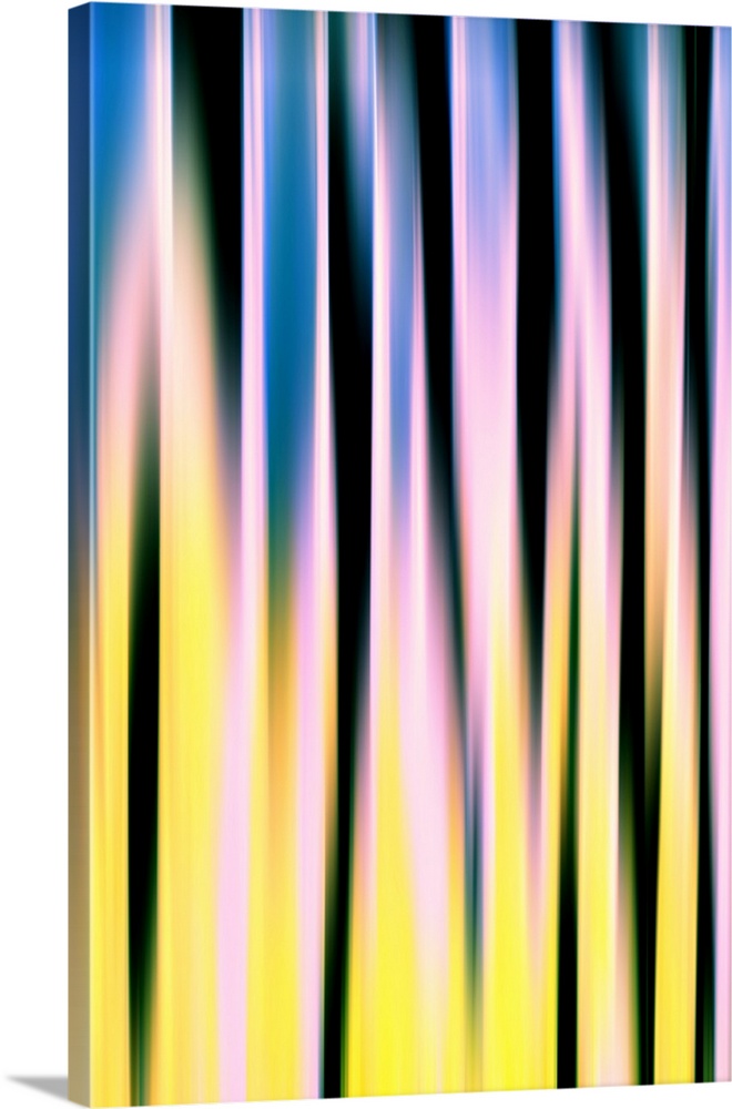 Extreme abstract of trees on a very sunny day. The image was made using the vertical ICM (Intentional Camera Movement) tec...