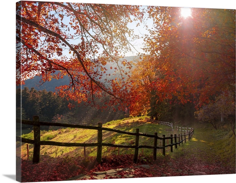 Trip To The Countryside | Great Big Canvas