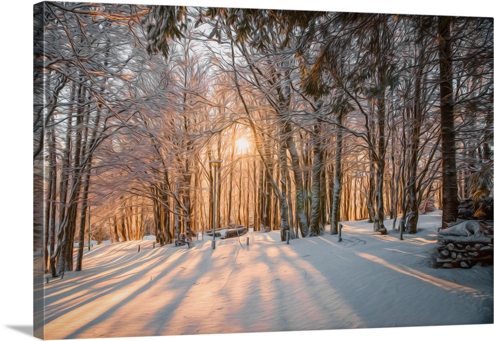 Photo Expressionism - Sunset through a snowy forest.