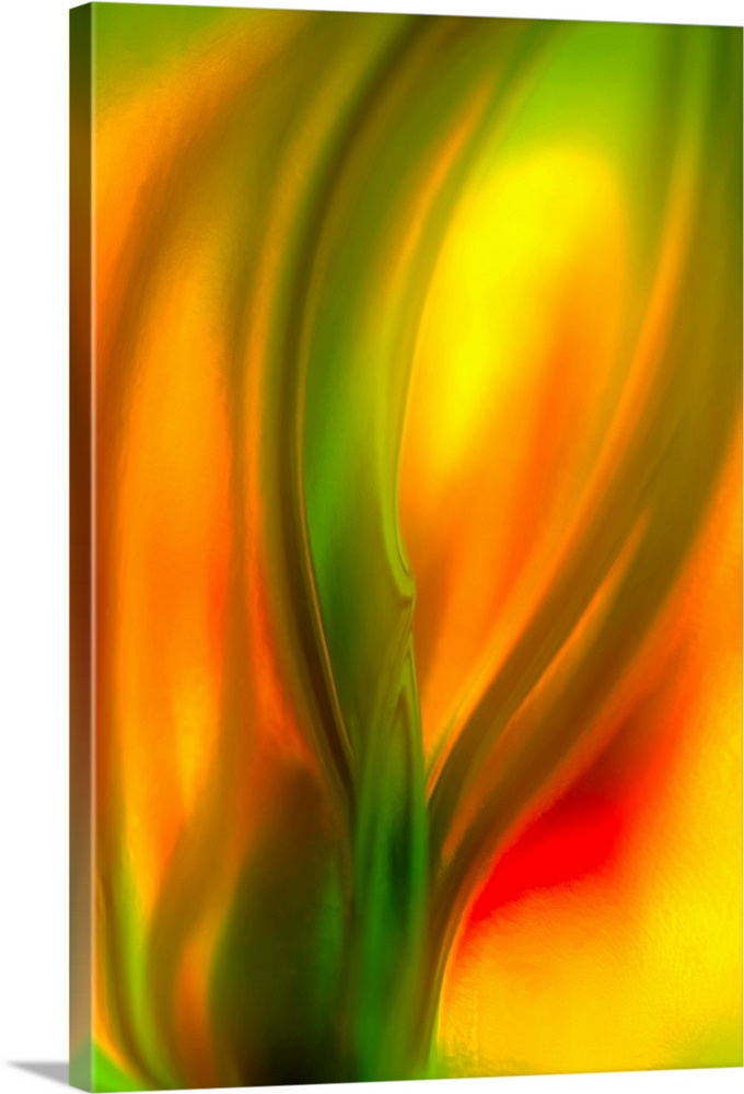 Vertical, fine art, close up photograph of a vibrant tulip, the image is very soft and fluid with no crisp detail.