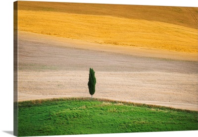 Tuscany Land