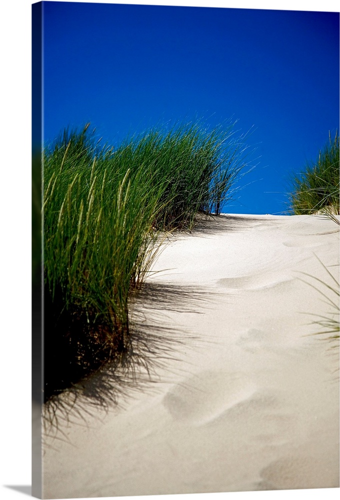 This decorative wall art is a vertical photograph showing the detail of a path up a sand dune unmarred by footsteps.