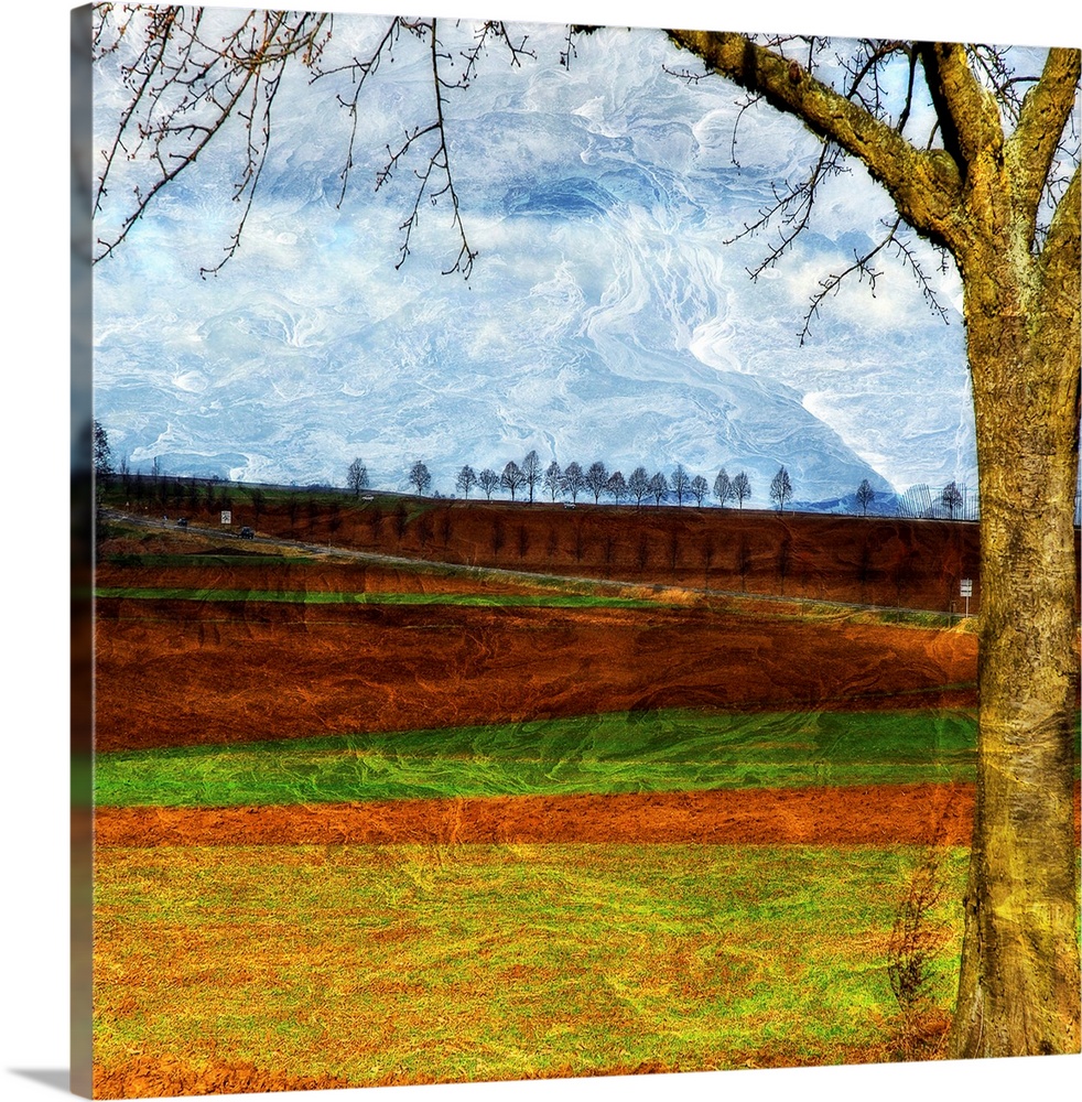 Square, large, fine art wall hanging of a big tree in the foreground, against a landscape of alternating grasses and dirt,...