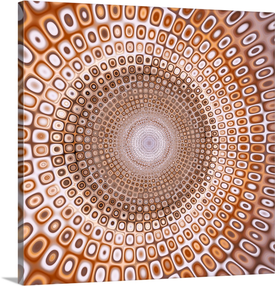 Psychedelic square abstract in shades of brown, orange, and white with circles creating smaller circles all the way into t...