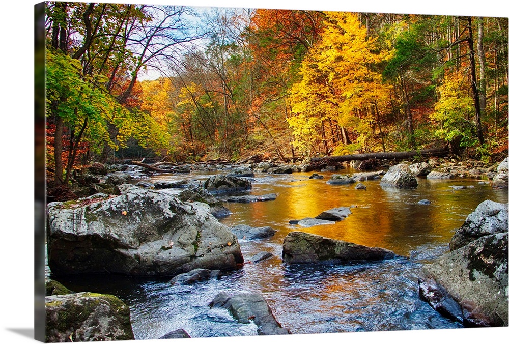 Vibrant hues of Fall foliage, Black River, New Jersey.
