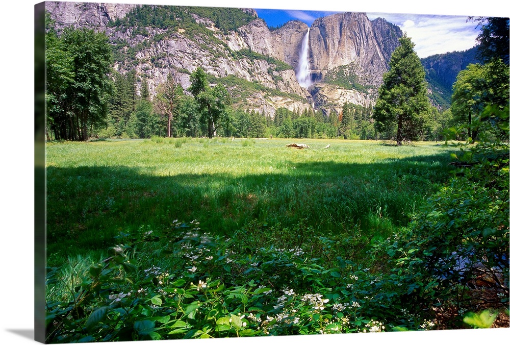 View of the Yosemite Valley and Falls, California. An open clearing surrounded by evergreen trees and rocky cliffs, with s...