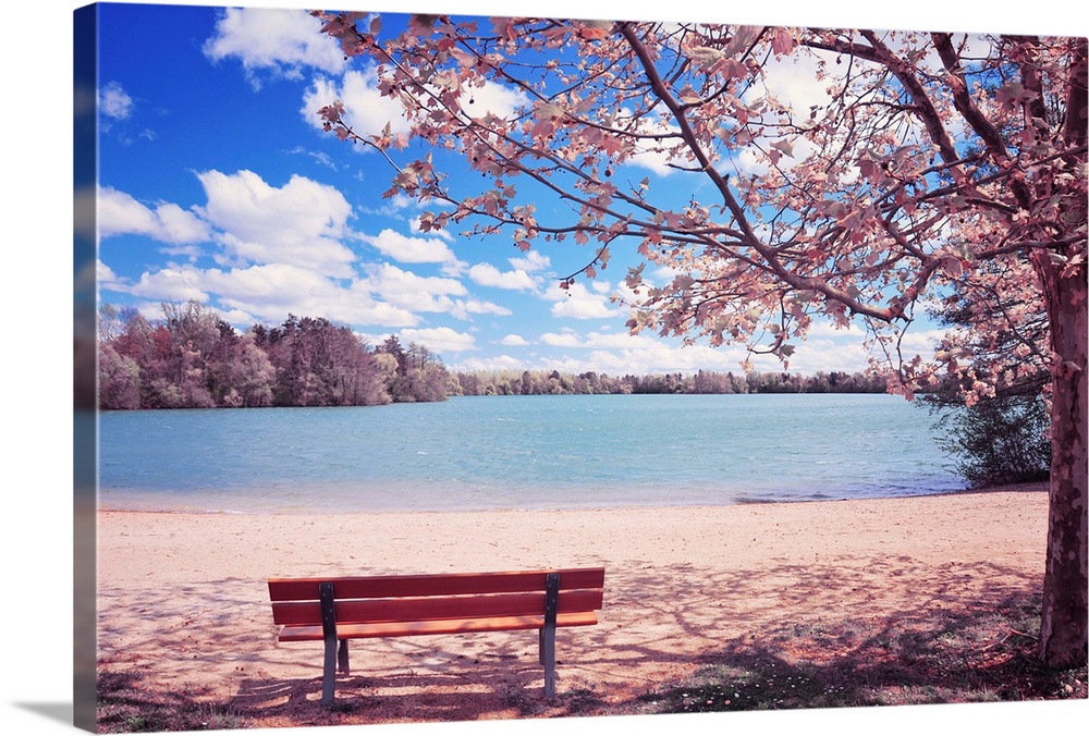 This spring time landscape photograph shows and empty park bench under a blossoming cherry tree beside and lake on a beaut...