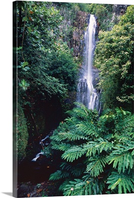 Wailua Falls, Road to Hana 1