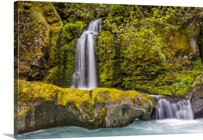 Washington, Mount Rainier National Park, Ohanapecosh River And Waterfall