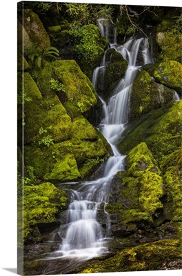Washington, Mount Rainier National Park, Waterfall