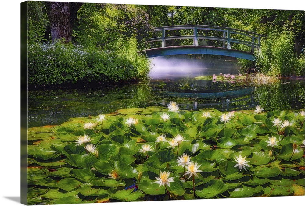 A photograph of a pond with lily pads sitting on the surface of the water.