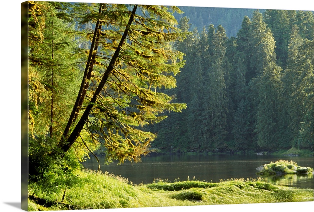 Lake and temperate rainforest, Tongass National Forest, Alaska