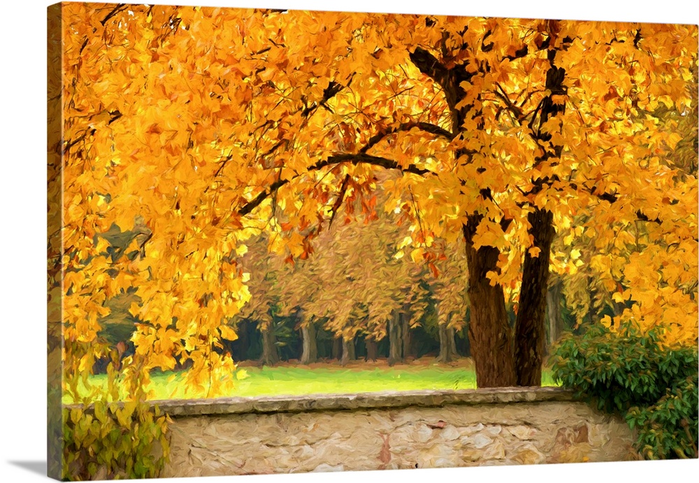 Fine art photograph of a tree with bright yellow leaves in a forest.