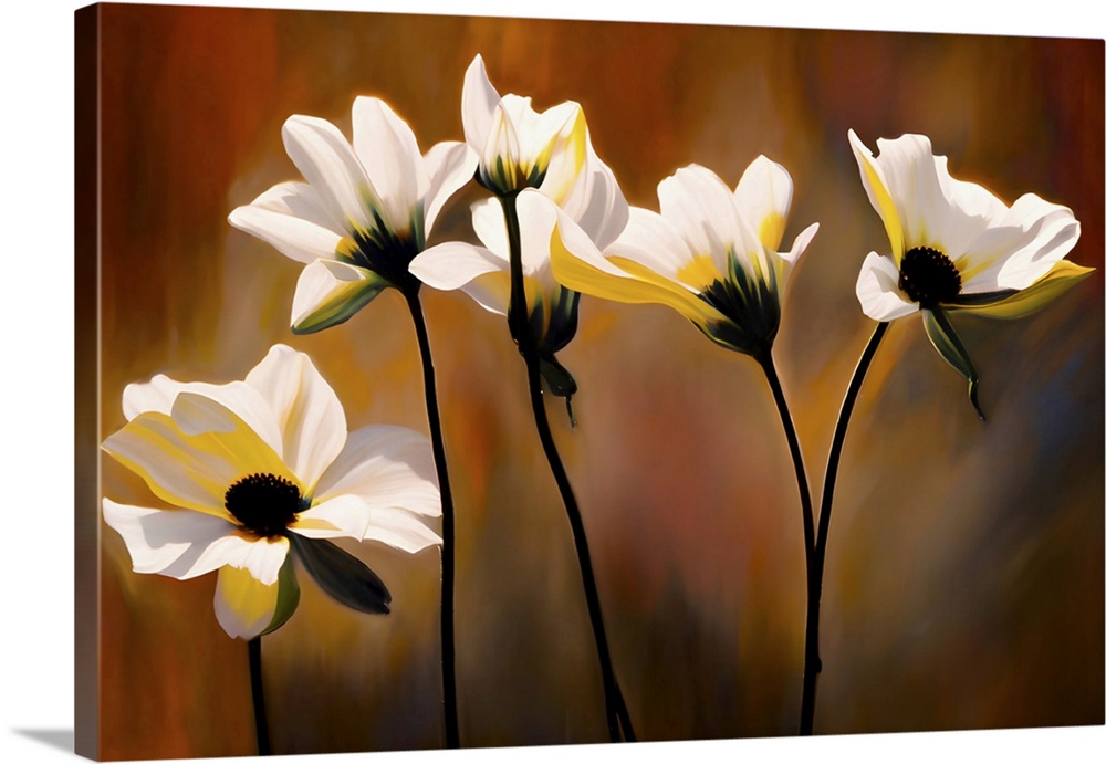 Portrait of a group of white flowers against blurred, golden grasses. The stems and interiors of the flowers are silhouett...