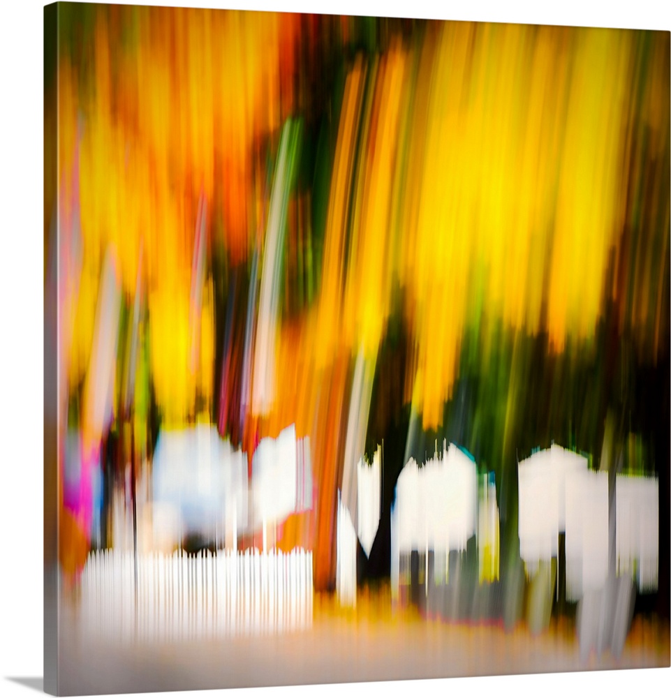 Abstract photography - the image was made using the ICM (Intentional Camera Movement) technique. It shows a group of trees...