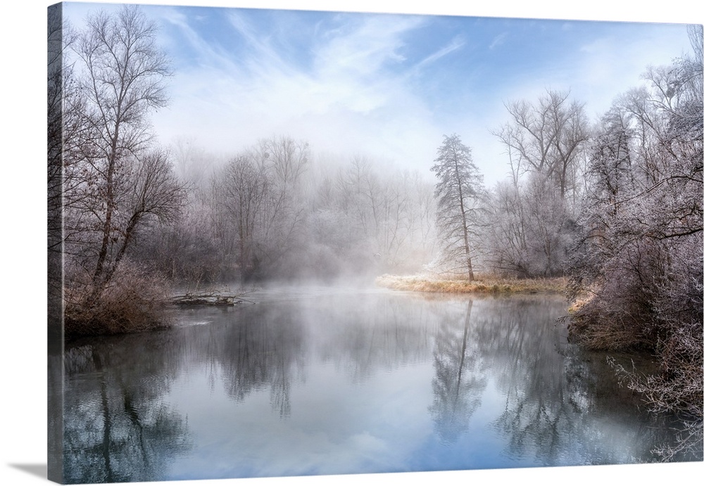 Photograph of a foggy lake surrounded by winter trees with icy branches.