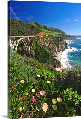 Wildflower Bloom at the Bixby Bridge, Big Sur Coast, California