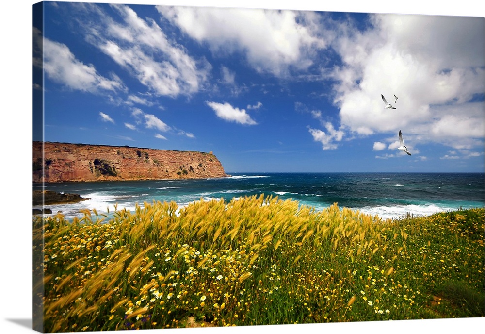 Sardinian landscape in summer with sea view