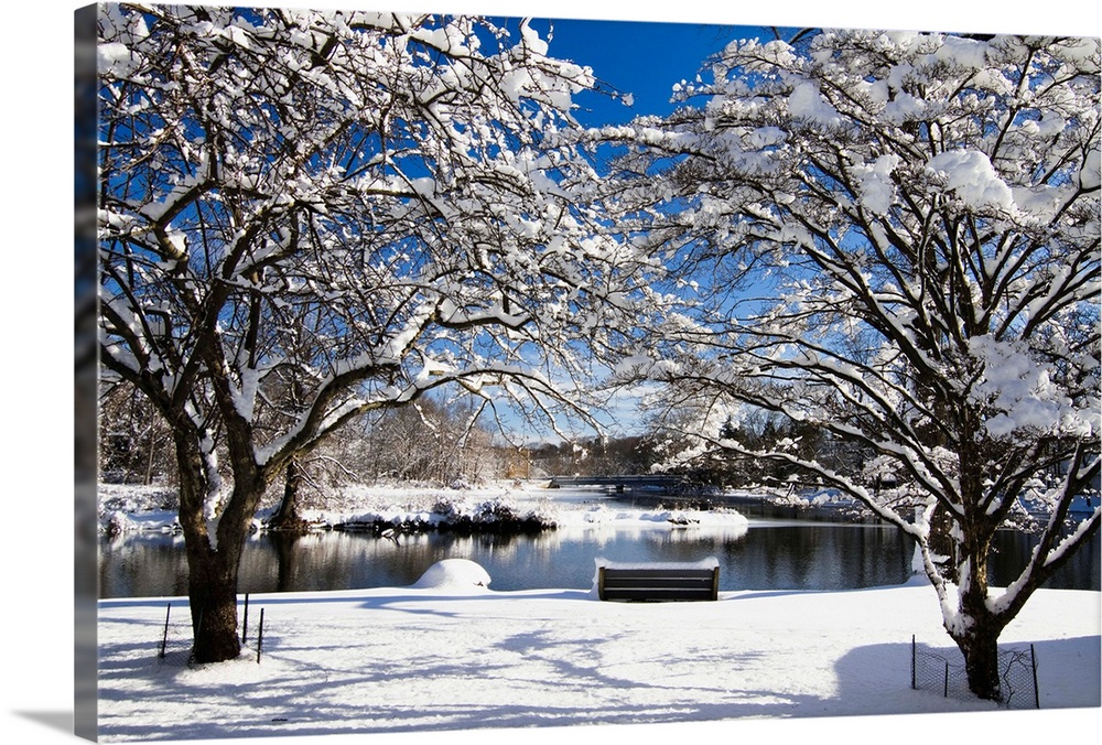 Snow covered trees, winter scenic, South Branch of Raritan River, Clinton, New Jersey.