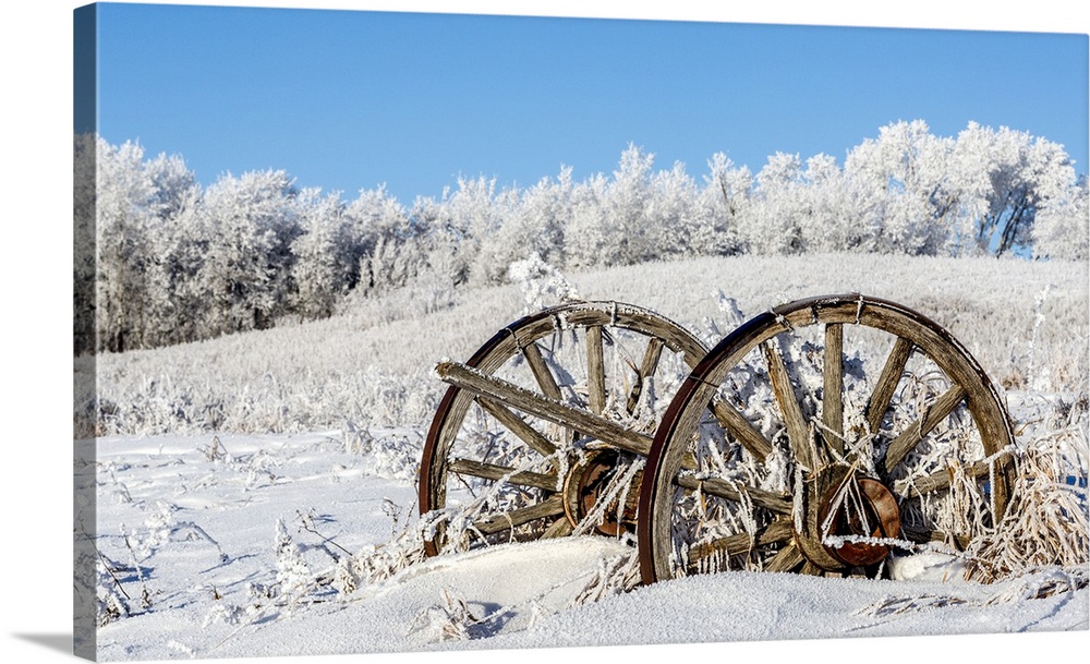 Winter Stillness