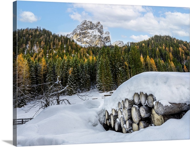 Wood Wall Art, Canvas Prints, Framed Prints, Wall Peels Great Big Canvas