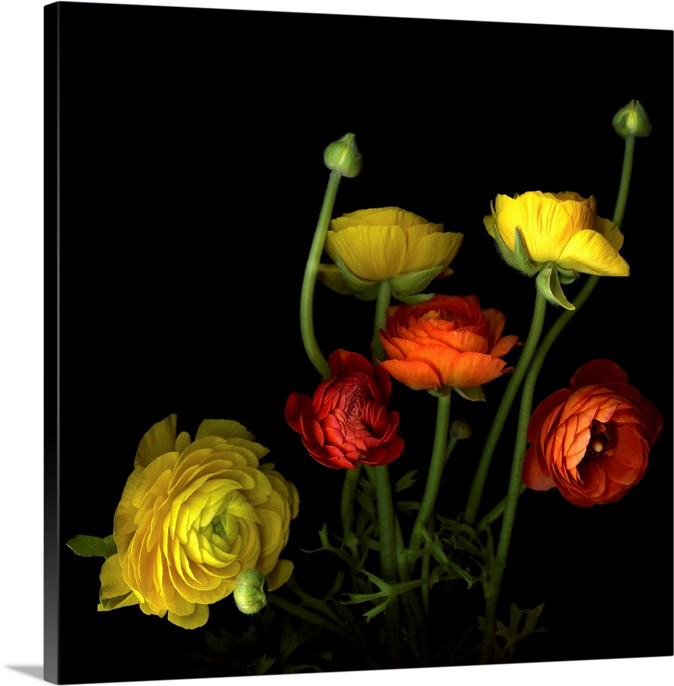 Wall art of a colorful bouquet of beautiful yellow and red flowers and buds.