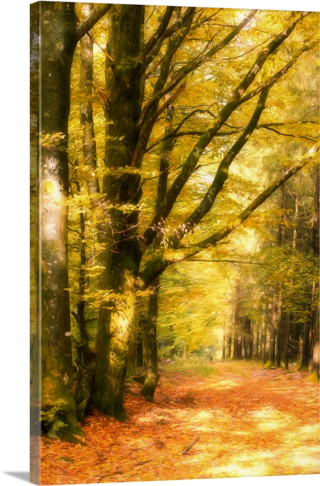 Vertical photograph with a painted feel, of Autumn woods with yellow leaves on the trees and red leaves on the ground.