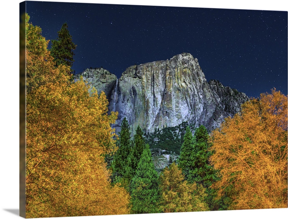 Half Dome seen over the forest canopy under the starry night sky, Yosemite, California.