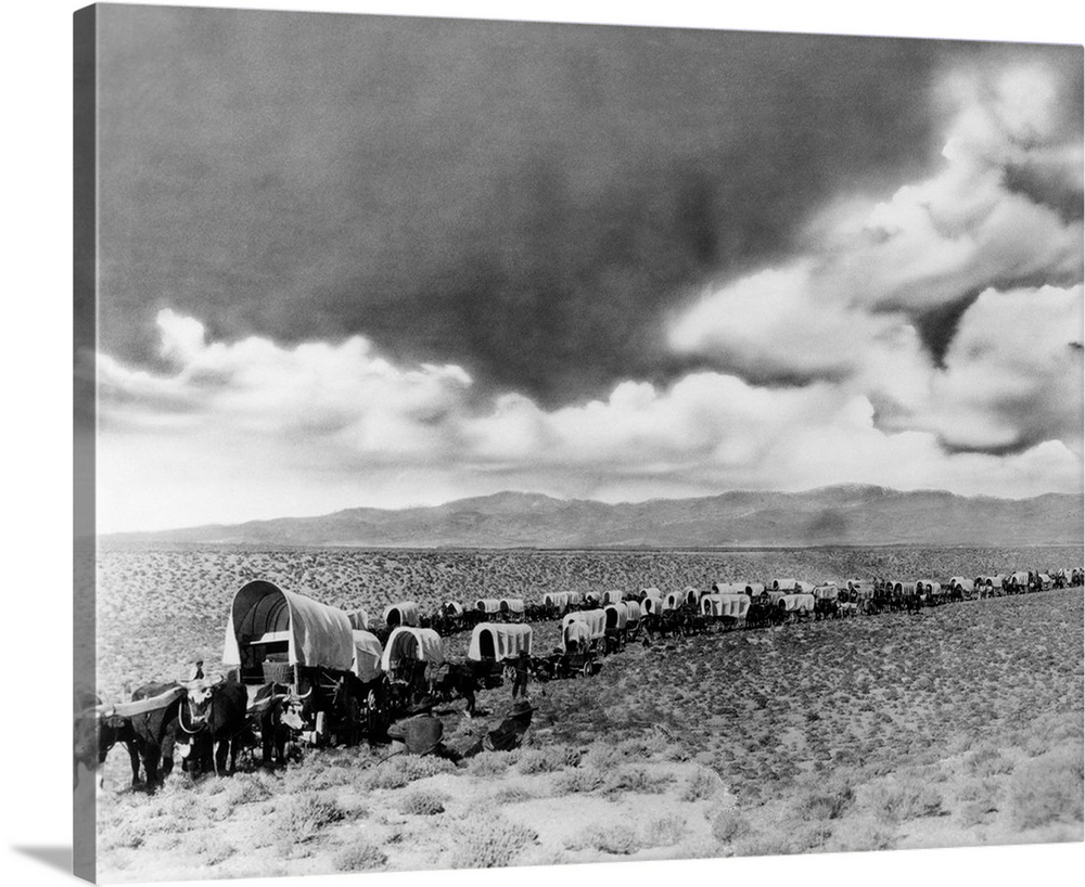 1870's 1880's Montage Of Covered Wagons Crossing The American Plains.