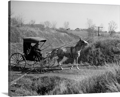 1890's 1900's Rural Country Doctor Driving Horse