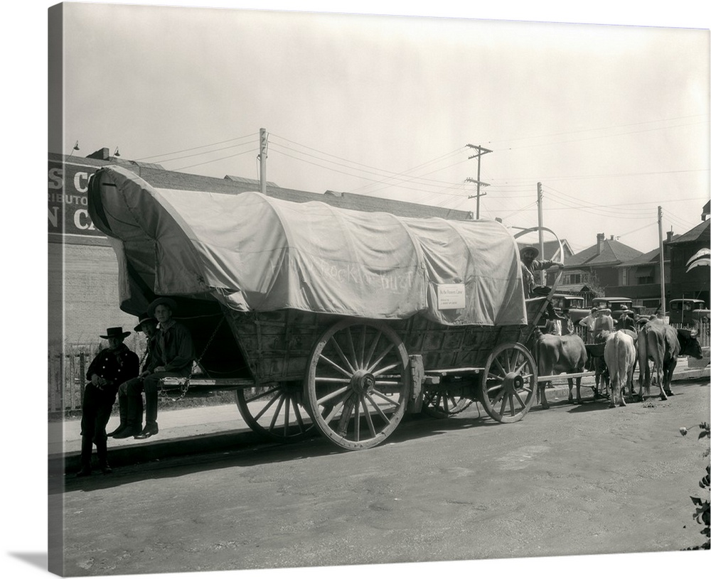 1920's Ox Drawn Conestoga Covered Wagon Parked Along Street.
