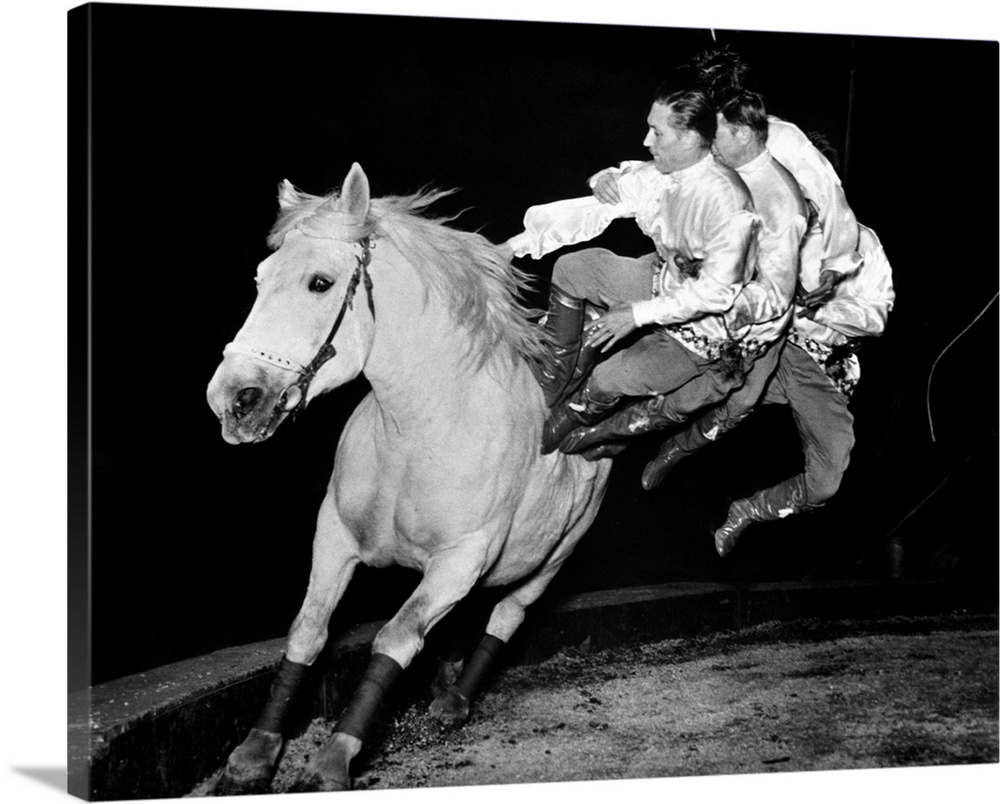 1930s 1940s Four Men Riding White Horse Around Circus Ring Track.