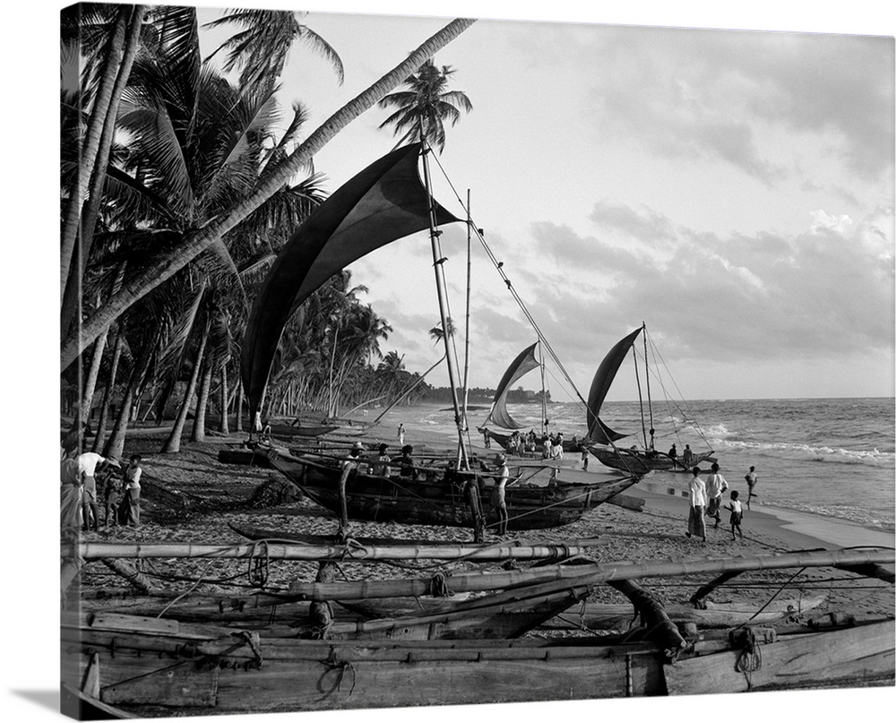 1930's Catamarans On Tropical Beach Indian Ocean Sri Lanka.