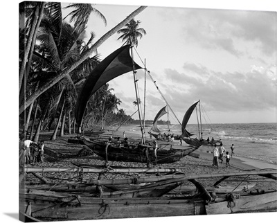 1930's Catamarans On Tropical Beach Indian Ocean Sri Lanka