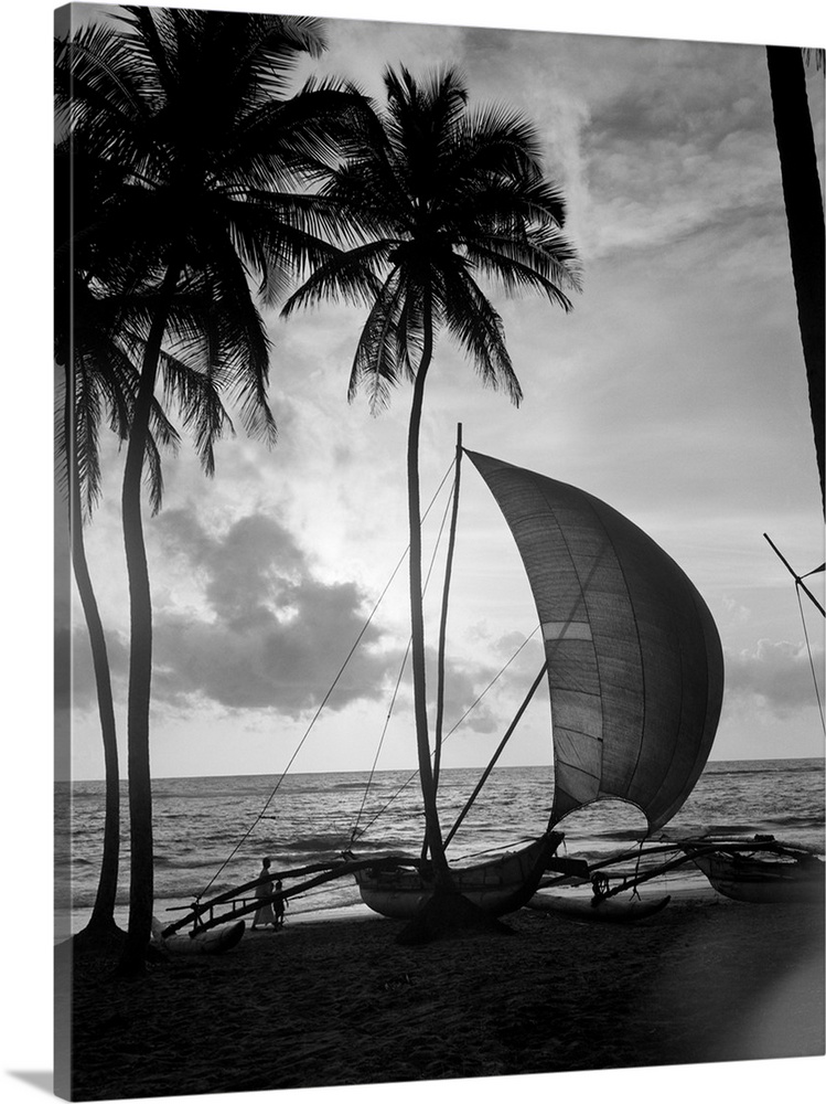 1930's Single Catamaran On Tropical Beach At Sunset Palm Trees Sri Lanka.