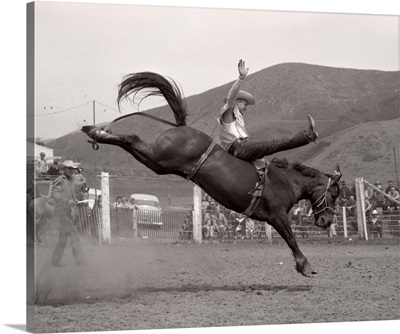 1950s 1953 Cowboy Bronco Buster Riding Bucking Horse Rodeo Cal Poly Royal California USA