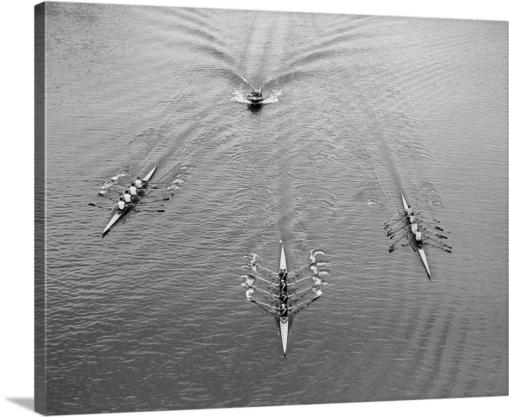 1950's Aerial View Of Rowing Competition.