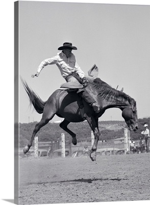 1950s Cowboy Riding A Horse Bareback On A Western Ranch USA