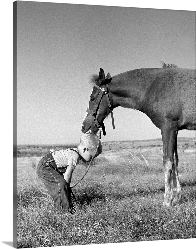 1950s Side View Of Little Blond Boy In Field Wearing Jeans and Suspenders Bending Down With Horse Licking Top Of Head.