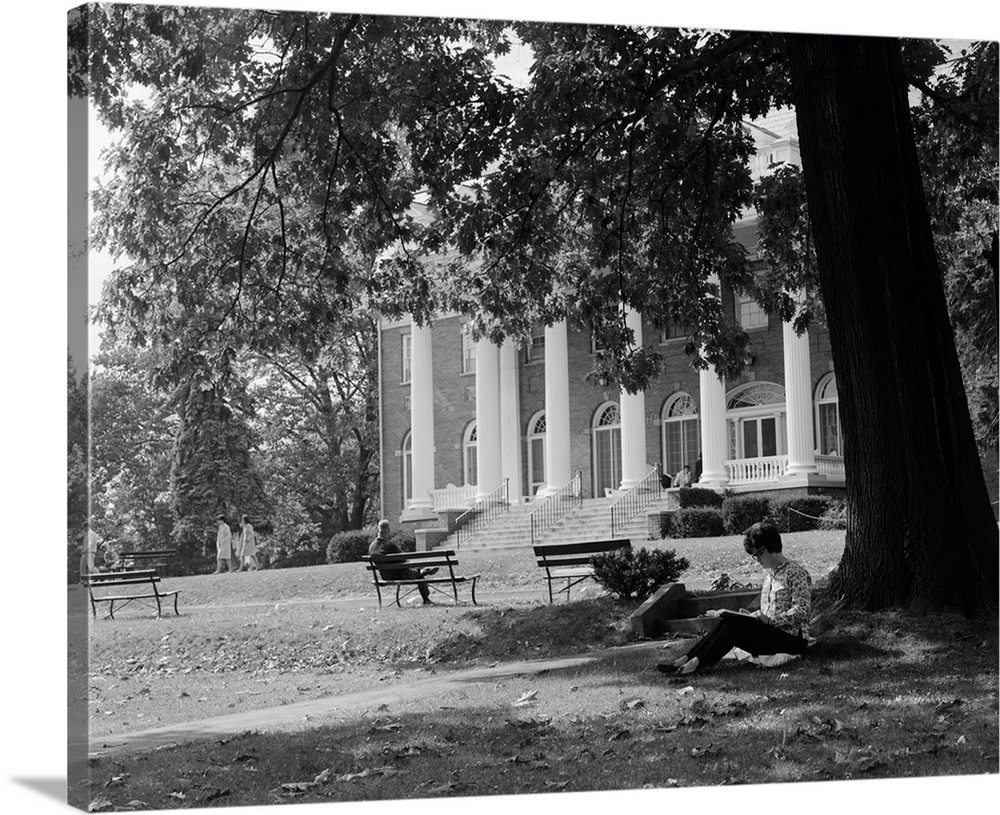 1960's Anonymous Silhouetted Female College Student Sitting Under Tree Studying With Campus Building In Background.
