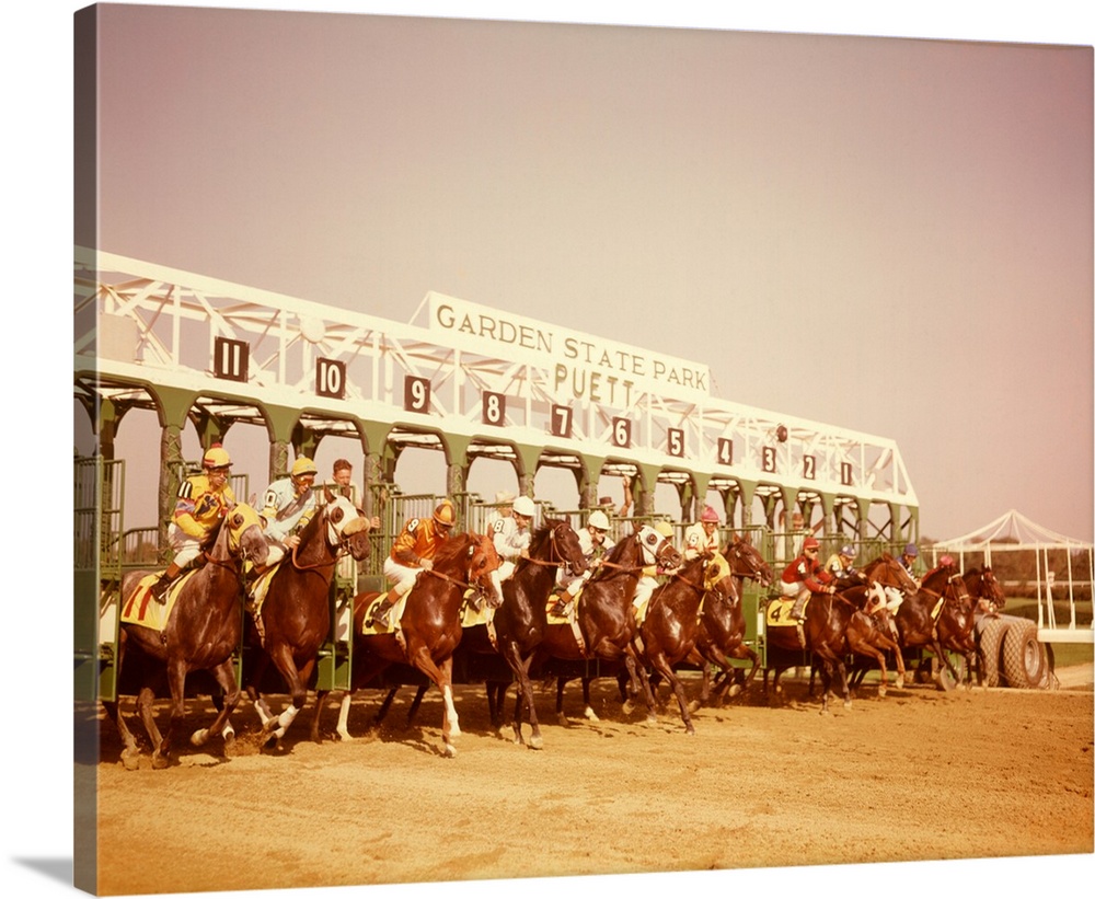 1960s Eleven Race Horses And Jockeys Coming Out Of Starting Gate Garden State Park NJ.