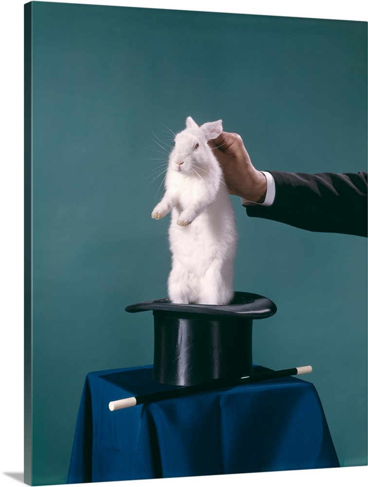 1960s Hand Of Magician Pulling White Rabbit Out Of Black Top Hat.