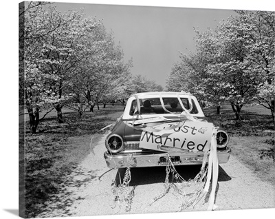 1960s Rear Of Car With Just Married Sign, Driving Along Road Of Flowering Trees