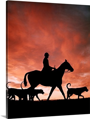1970s Silhouetted Anonymous Man Riding Horseback With Foxhound Dogs On Fox Hunt