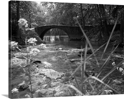 1970's Stream With Stone Bridge In Wooded Area