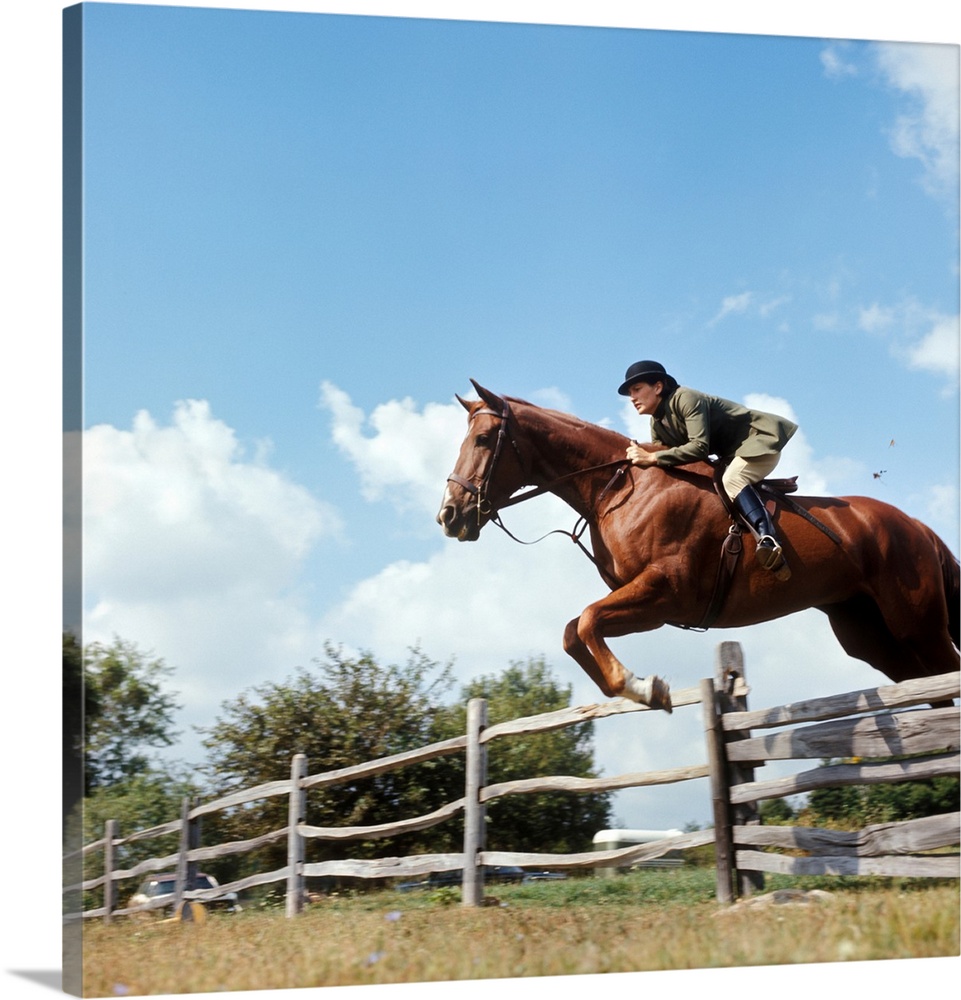 1970s Woman Equestrian Rider Jumping Over Split Rail Fence During Steeplechase Horse Race.